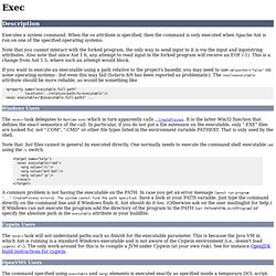 Exec Task