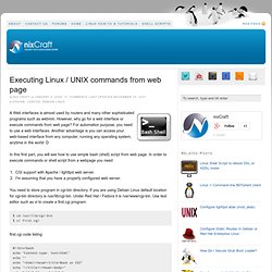 Executing Linux / UNIX commands from web page