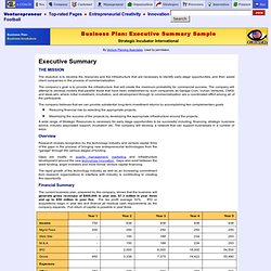 Start-Up Business Plan: EXECUTIVE SUMMARY SAMPLE of  Strategic Incubator International