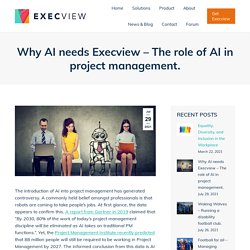 Why AI needs Execview - The role of AI in project management. - Execview