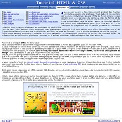Exemple CSS - Tutoriel HTML & CSS