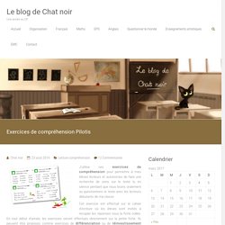 Exercices de compréhension Pilotis – Le blog de Chat noir