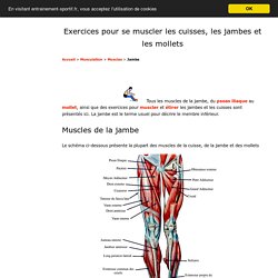 Exercices pour muscler les jambes