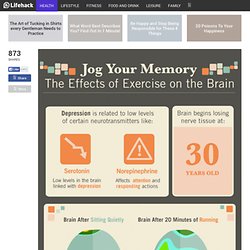 This Is Your Brain On Jogs: How Exercise Affects And Improves Your Brain