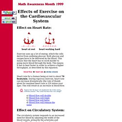 Effects of Exercise on the Cardiovascular System