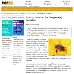 Reading Exercise - The Disappearing Honeybee