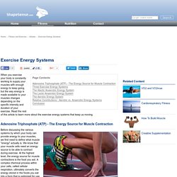 Exercise Energy Systems