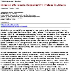 Exercise 29 Avian Female Reproductive System