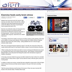 Exercise heals early brain stress 