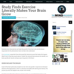 Study Finds Exercise Literally Makes Your Brain Grow