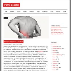 Exercise for Lower Back Pain – Traffic Booster
