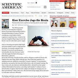 How Exercise Jogs the Brain