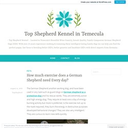 How much exercise does a German Shepherd need Every day? – Top Shepherd Kennel in Temecula