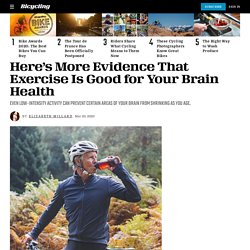 Staying Active as You Age Boosts Brain Function