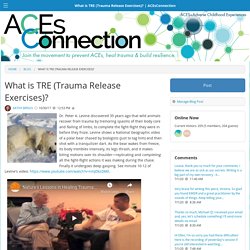 What is TRE (Trauma Release Exercises)?