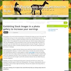 Exhibiting Stock Images in a photo gallery to increase your earnings