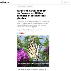 Bouquet de fleurs, exhibition sexuelle et intimité des plantes