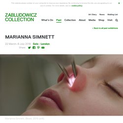 MARIANNA SIMNETT - Zabludowicz Collection