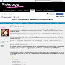 Théorie Existencielle de la Métamorphologie Domestique