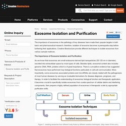 Exosome Isolation and Purification