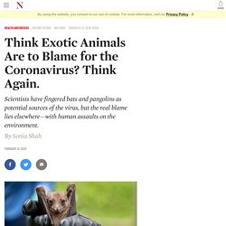 Think Exotic Animals Are to Blame for the Coronavirus? Think Again.