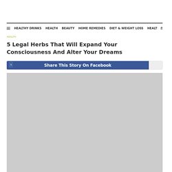 5 Legal Herbs That Will Expand Your Consciousness And Alter Your Dreams - Simple Organic Life