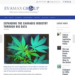 Expanding the Cannabis Industry Through Big Data