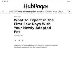 What to Expect in the First Few Days With Your Newly Adopted Pet - HubPages