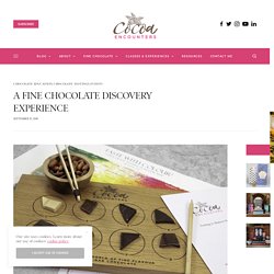 A Fine Chocolate Discovery Experience – Cocoa Encounters