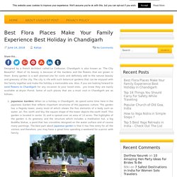 Best Flora Places Make Your Family Experience Best Holiday in Chandigarh - Ghumledunia