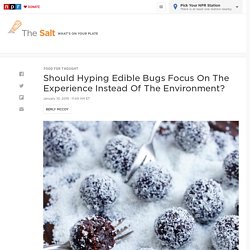 Should Hyping Edible Bugs Focus On The Experience Instead Of The Environment? : The Salt