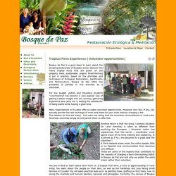 Bosque de Paz - Ecuador - Tropical Farm Experience ( Volunteer opportunities)