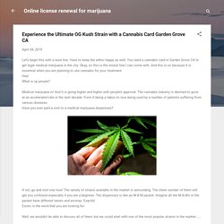 Experience the Ultimate OG Kush Strain with a Cannabis Card Garden Grove CA