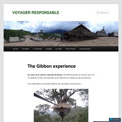 The Gibbon experience
