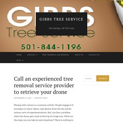 Call an experienced tree removal service provider to retrieve your drone