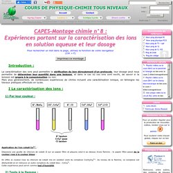 CAPES-Montage chimie n°8 : Expériences portant sur la caractérisation des ions en solution aqueuse et leur dosage