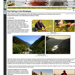 Fly Fishing in the Himalayas - This article is a brief summary of our fly fishing experiences on streams and rivers of Himachal Pradesh and Uttarakhand states in India.
