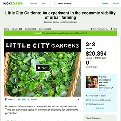 Little City Gardens: An experiment in the economic viability of urban farming by brooke budner and caitlyn galloway