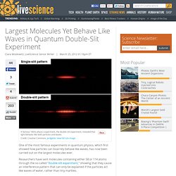 Largest Molecules Yet Behave Like Waves in Quantum Double-Slit Experiment