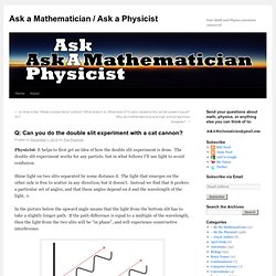 Can you do the double slit experiment with a cat cannon? « Ask a Mathematician / Ask a Physicist
