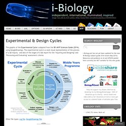 Experimental & Design Cycles