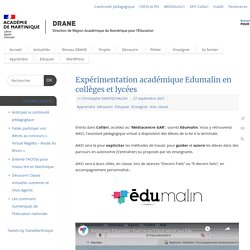 Expérimentation académique Edumalin en collèges et lycées – Délégation Régionale Au Numérique pour l'Education