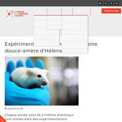 22 sept. 2021 Expérimentation animale : la victoire douce-amère d'Hélène Bernard - Maison des Lanceurs d'Alerte
