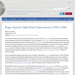 Roger Sperry’s Split Brain Experiments (1959–1968)