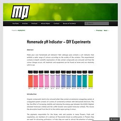 Homemade pH Indicator – DIY Experiments