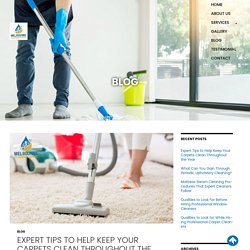 Expert Tips to Help Keep Your Carpets Clean Throughout the Year
