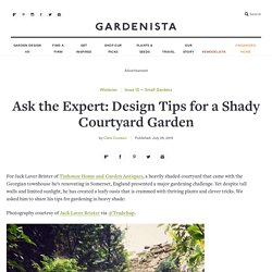 Ask the Expert: Design Tips for a Shady Courtyard Garden