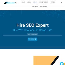 Hire SEO Expert Pricing Start At $500