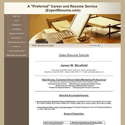 Expert Resume | Sales Resume Sample