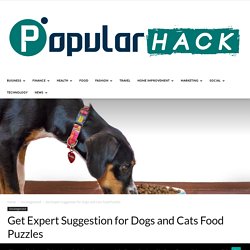 Get Expert Suggestion for Dogs and Cats Food Puzzles